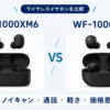 ソニー WF-1000XM6とWF-1000XM5の新旧ワイヤレスイヤホン比較